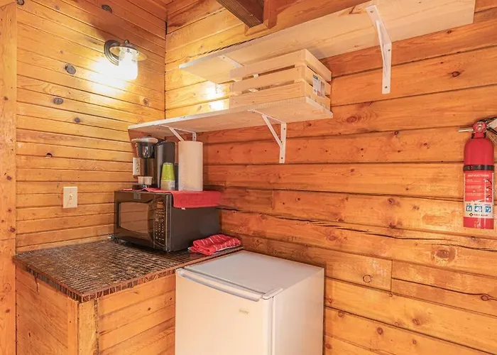 Forest Cabin 4 Cowboys Dream