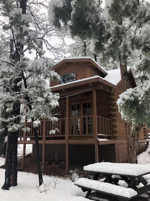 Forest 4 Cowboys Dream Ferienhaus