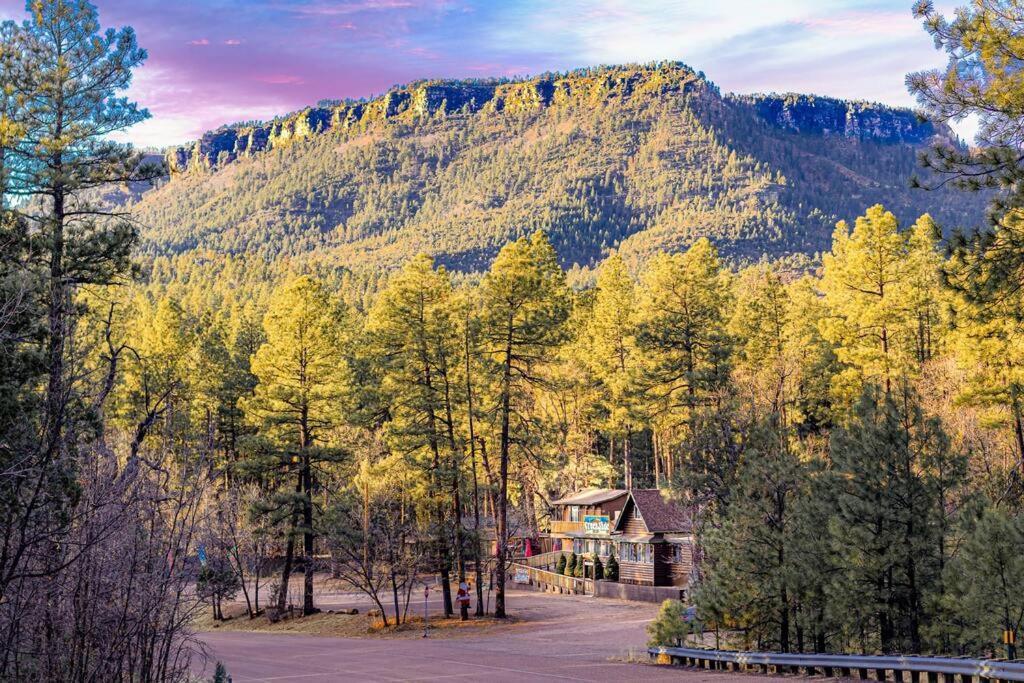 Forest 4 Cowboys Dream * Payson