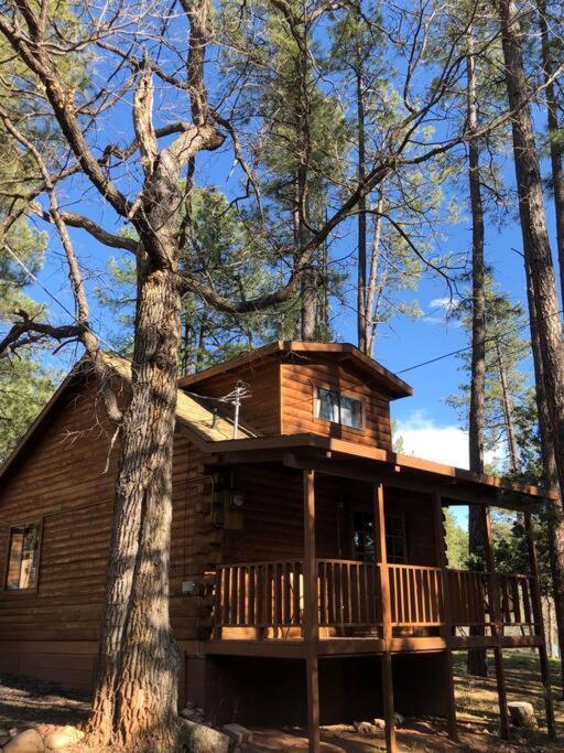 Forest 4 Cowboys Dream * Payson